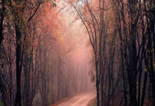 天涯社区港台版：港台网友的网络聚集地