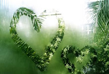 天涯社区用户少，这地方好冷清啊，大家都不常在了